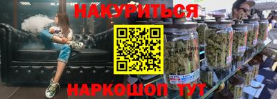 гидра Кингисепп