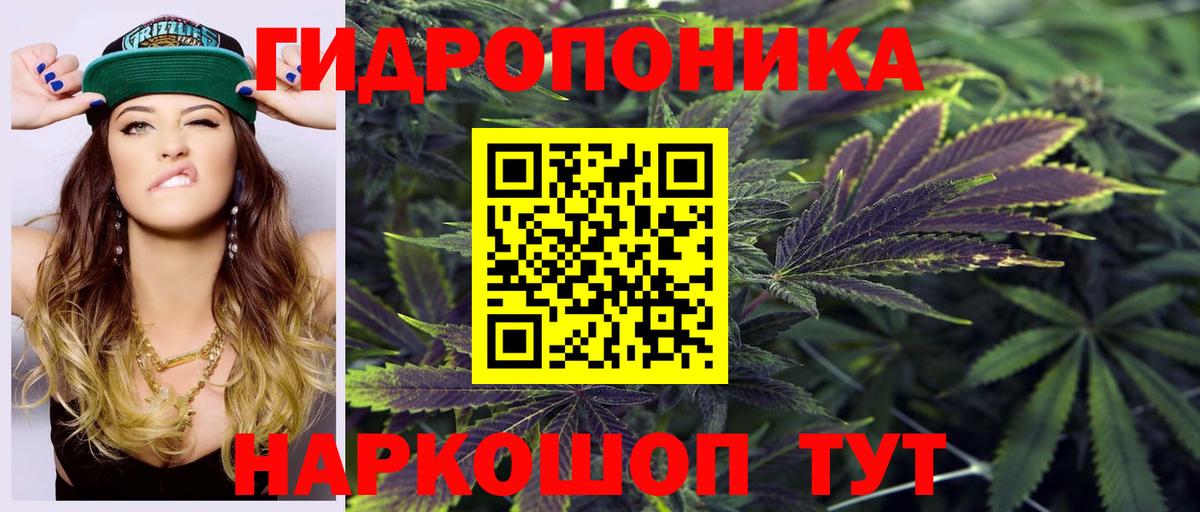 Ишим  Канабис марихуана  Конопля White Widow  Бошки марихуана сатива  Вход с VPN 